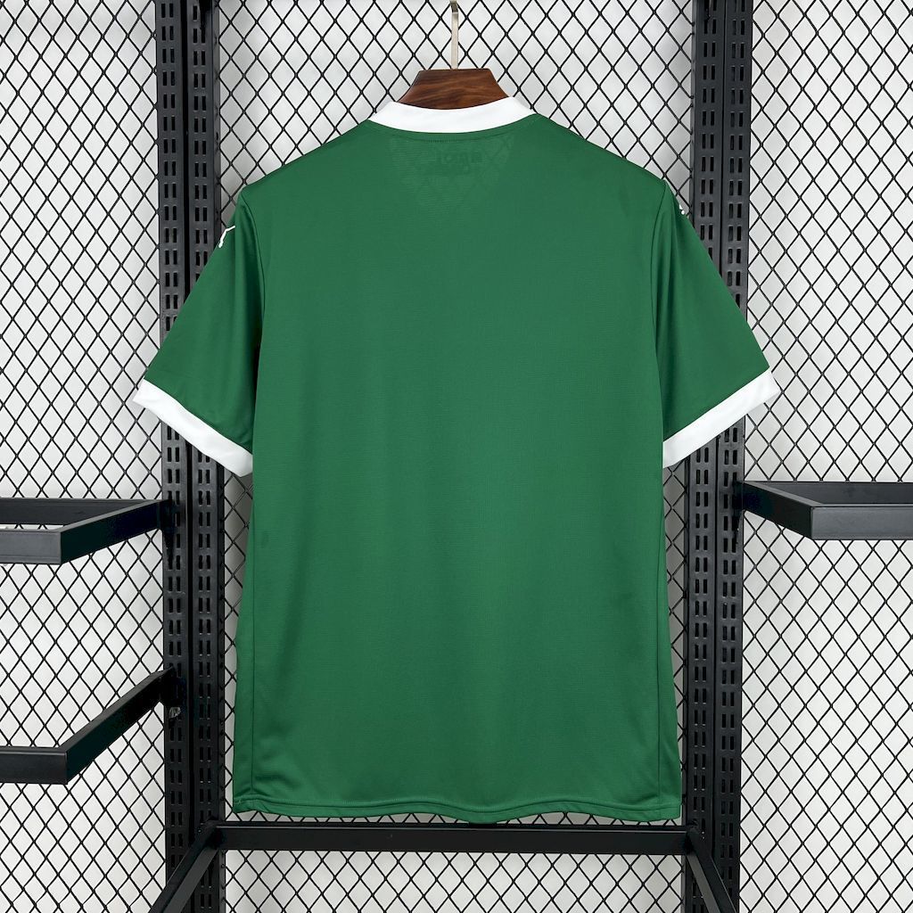 Palmeiras - 2025 - Local